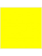 Étiquette 43 x 25 mm thermique TOP / protégé Jaune, mandrin 25 mm, 24 rouleaux de 1000 etiquettes - pantone